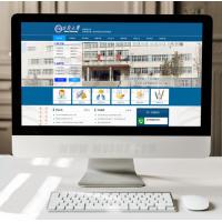 大气蓝色职业学校学院招生网宣传网站